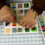 DIY Pressed Dried Flowers Kit for Collection & Painting